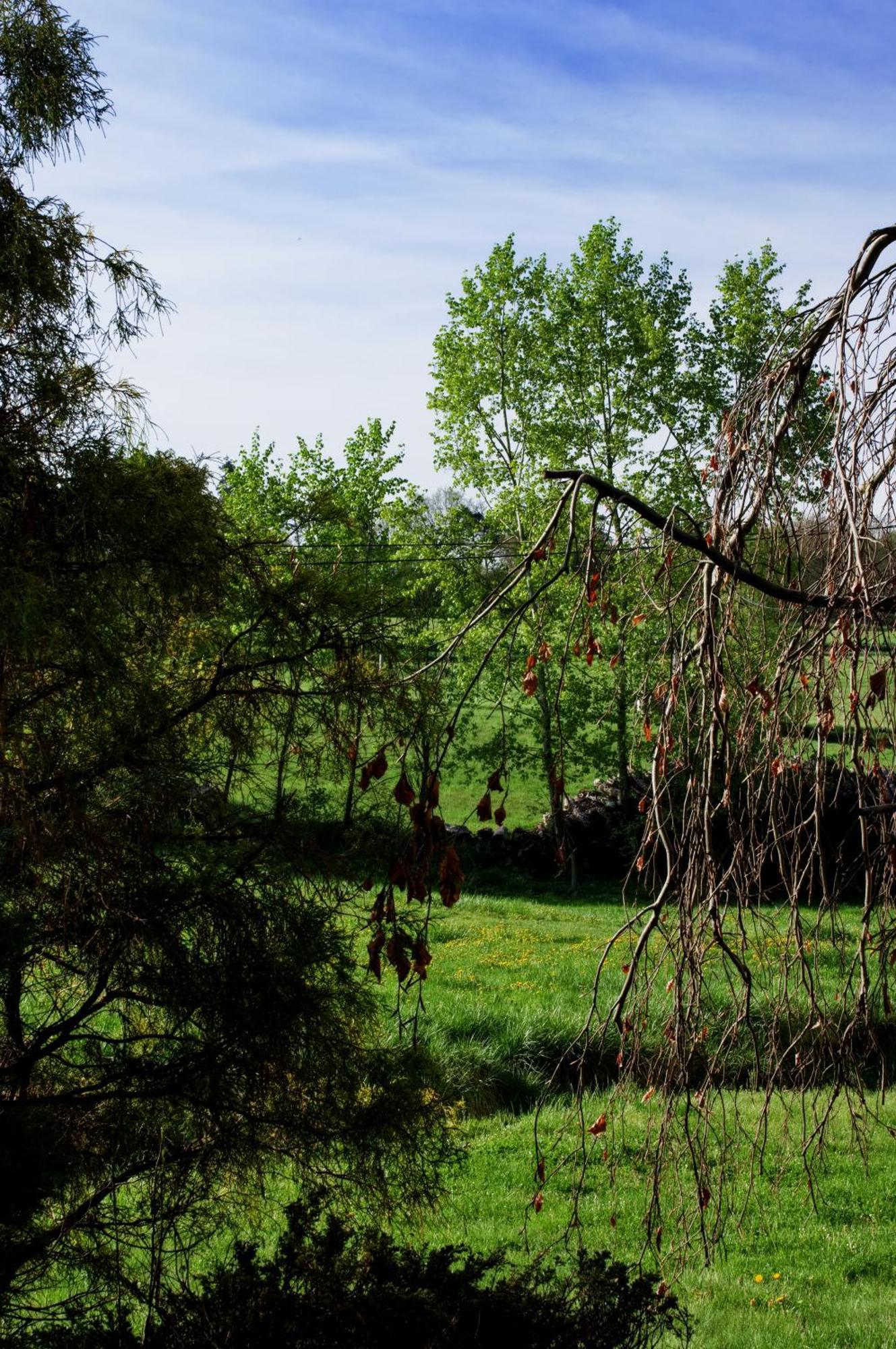 Mlyn Kamenice Klucenice ภายนอก รูปภาพ